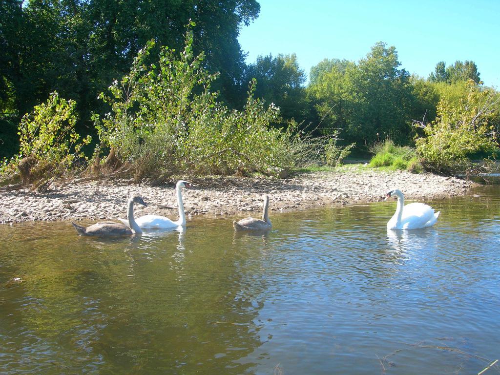 Moulin Des Sandaux Sainte-Foy-la-Grande Dış mekan fotoğraf